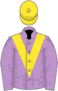 Mauve, yellow chevron and cap