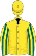 Yellow, dark green striped sleeves