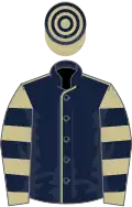 Dark blue, beige seams, beige and dark blue hooped sleeves and cap