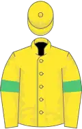 Yellow, emerald green armlets