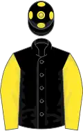 Black, yellow sleeves, black cap, yellow spots