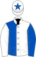 White and royal blue halved, sleeves reversed, royal blue star on cap