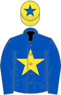 Royal blue, yellow star, yellow cap, royal blue star