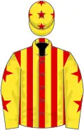 Red and yellow stripes, yellow sleeves, red stars, yellow cap, red stars