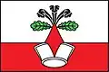 Flag of Přerubenice