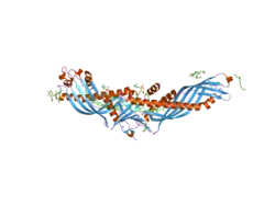 2obd: Crystal Structure of Cholesteryl Ester Transfer Protein