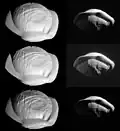 Stretched (4x) images, processed in various ways.