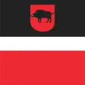 Flag of Łęczna