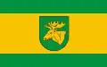 Flag of Łochów