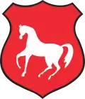 Łosice