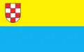Flag of Działdowo
