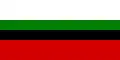 Flag of Grabów nad Prosną