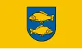 Flag of Krasnystaw