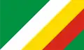 Flag of Zduńska Wola
