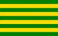 Flag of Gmina Baranowo