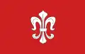 Flag of Gmina Dąbrówno