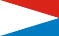 Flag of Gmina Drużbice