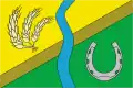 Flag of Gmina Kościan