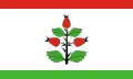 Flag of Gmina Rzgów