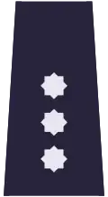 Polish Police