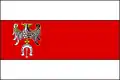 Flag of Brzeziński County