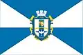 Flag of Borodianka