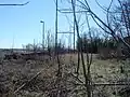 Abandoned K&T Branch, Behind Frankford Arsenal, 2006. Switch buried in weeds is one siding leading into the old arsenal complex