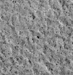 Viking 2 lander in 2006 (HiRise)