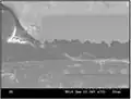 Magnified view of cross section of BGA pad and solder ball. Dielectric has cracked and the pad has started to lift, eventually creating pad cratering.