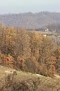 Paklje - panorama