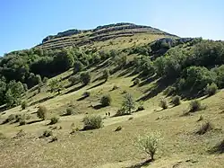 Pashtrik