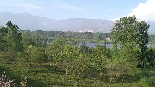 View of Pampore Town in Pulwama district of the Kashmir Valley