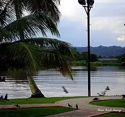 Passive park Parque Doctor Rivera Aulet