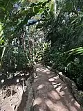 Pathway at Pinecrest Gardens