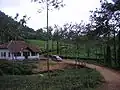 Estate Bungalow