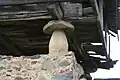 Stone pillar (pegollu) standing on a footing stone (pilpayu) and capped with a staddle stone (muela).