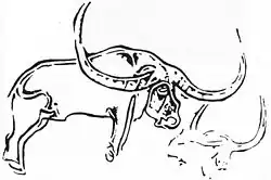 Tracing of a petroglyph representing giant long-horned buffalo from North Africa.