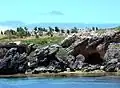 Pelican colony and caves