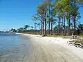 View of the shoreline