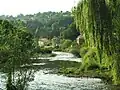 Vesdre river