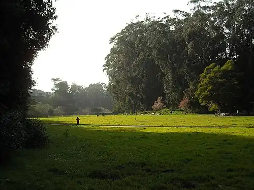 Pine Lake Park