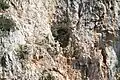 Rock shelter