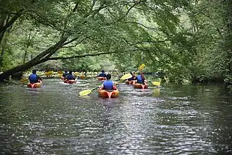 Paddlers