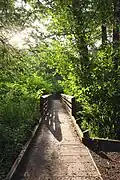 McLane Creek Nature Trail, June 2025