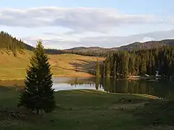 The Ponor Glade, the only example of polje in the Padiș Plateau [ro]