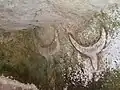 Bull's horns, necropolis of Su Crucifissu Mannu, Porto Torres