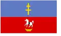 Flag of Włoszczowski County