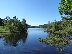 Prästtjärnen from N on June 14, 2020.