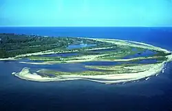 An aerial view of the green and sandy end of a peninsula.