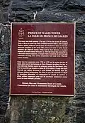 Plaque